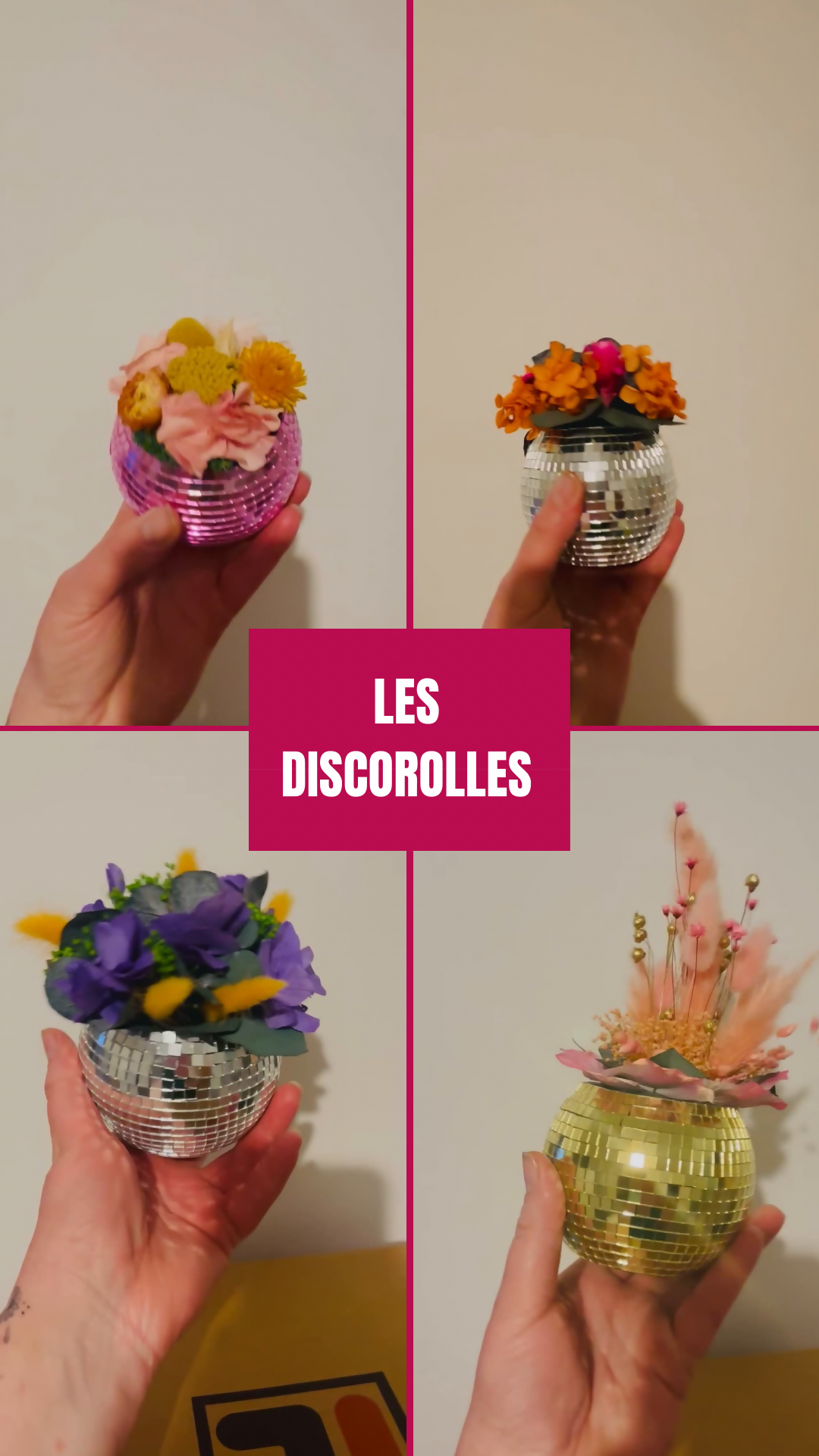 les discorolles