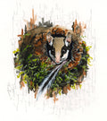Garden dormouse