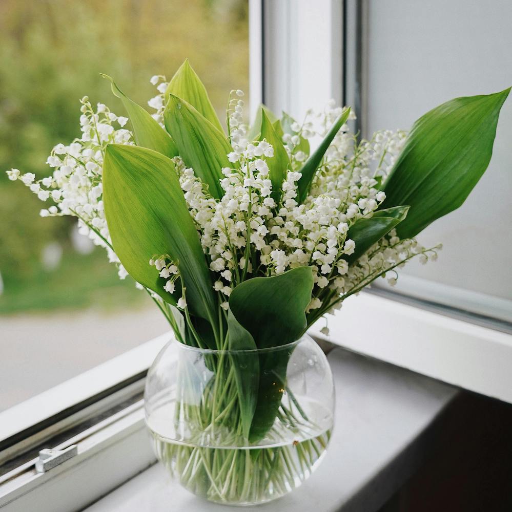 Product Image-9