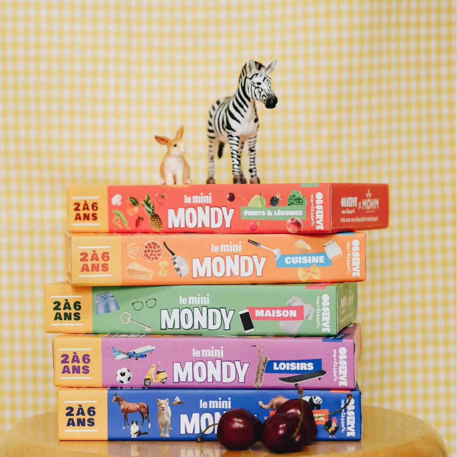 mini mondy cinq themes jeu langage montessori