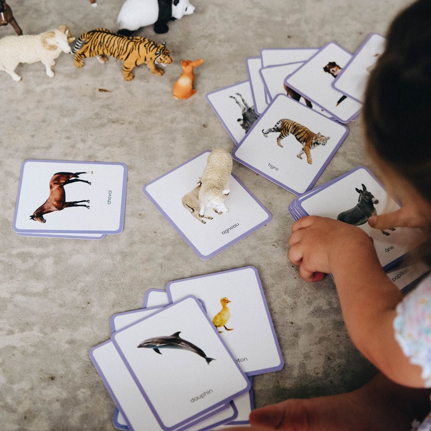 Giga Mondy, cartes de nomenclature Montessori