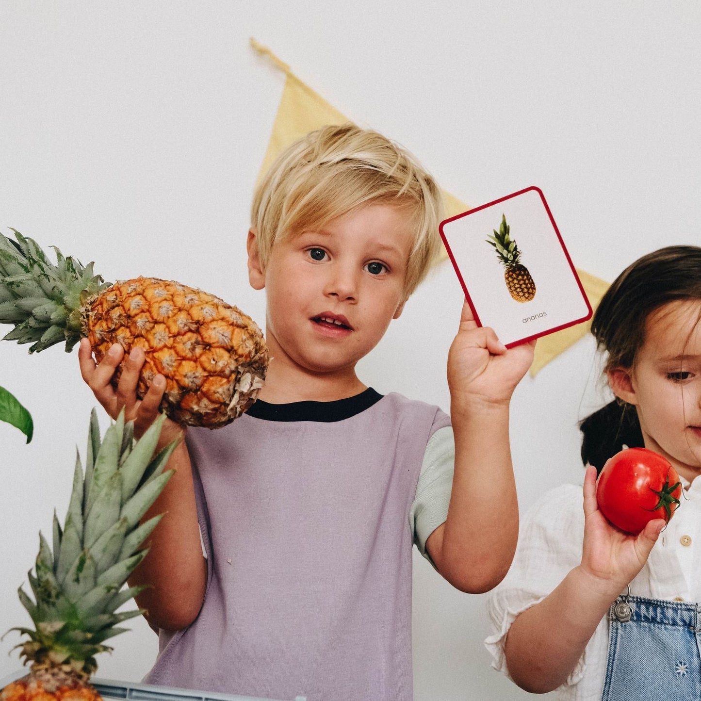 Giga Mondy, cartes de nomenclature Montessori