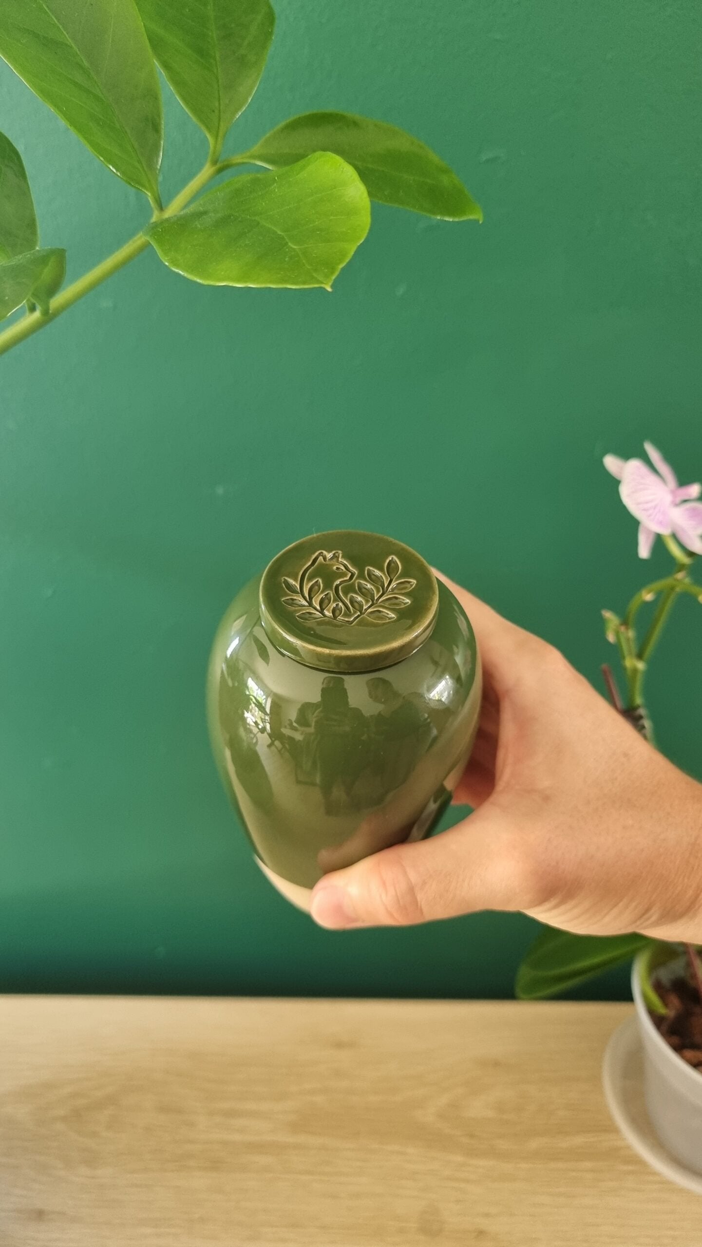 Product Image-2
