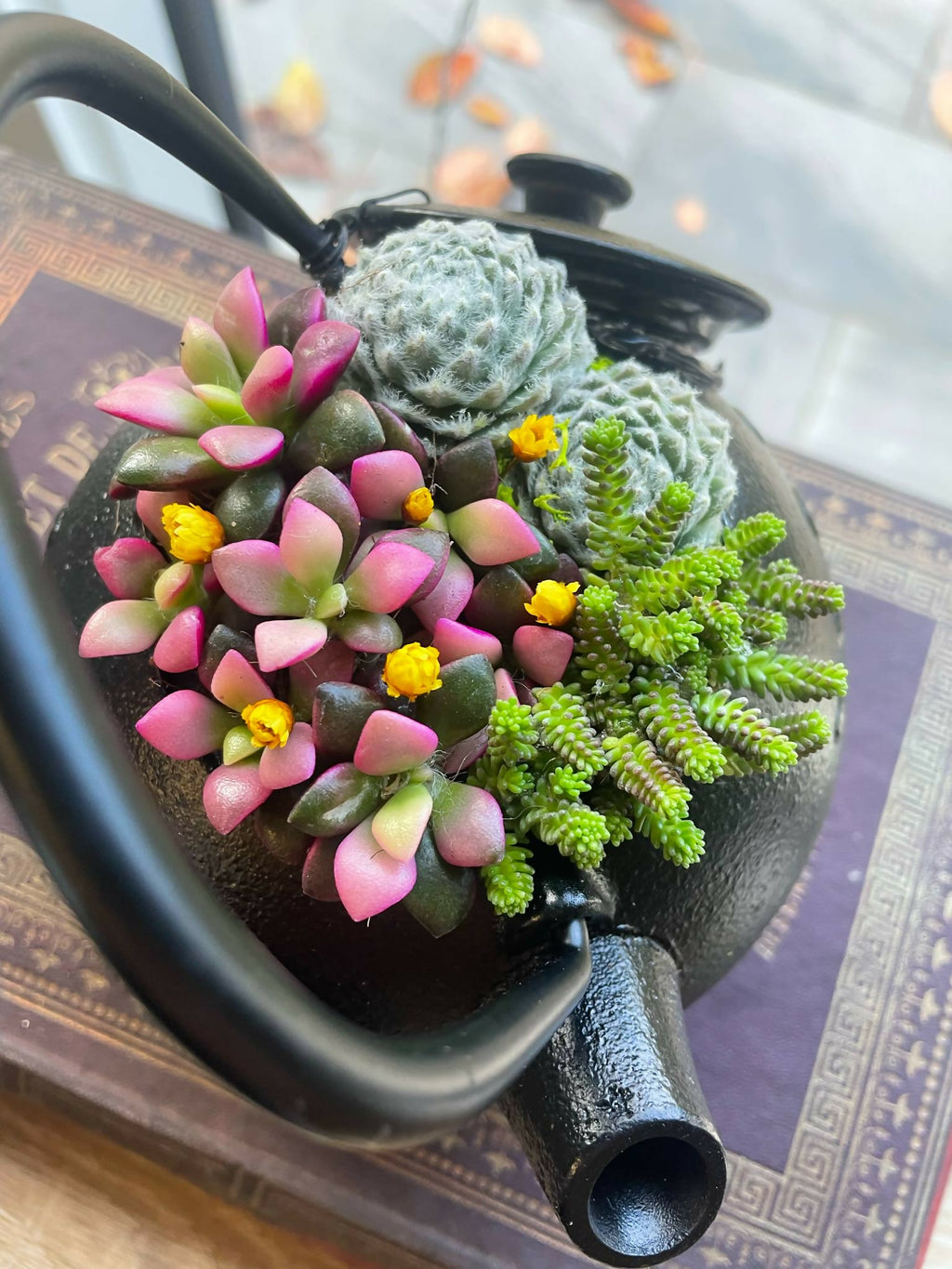 Théière en fonte japonaise