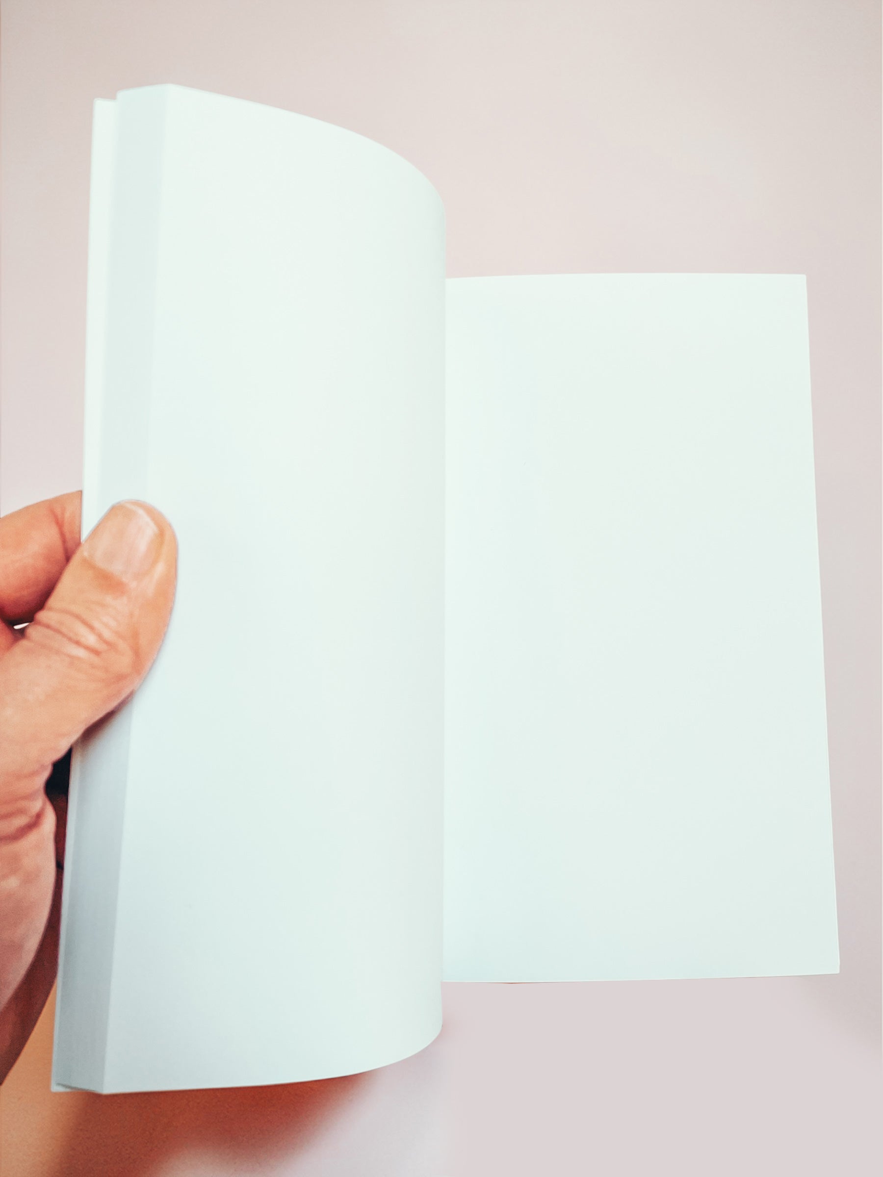 Pages blanches intérieures carnet A5