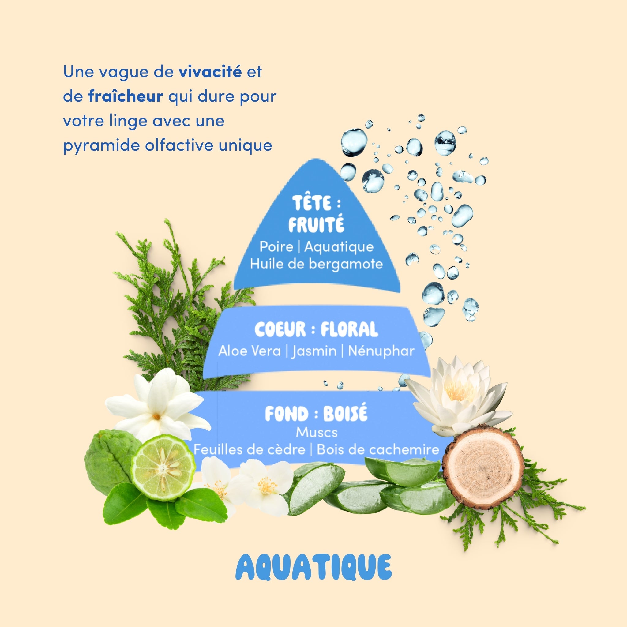 Laundry scent: Aquatic