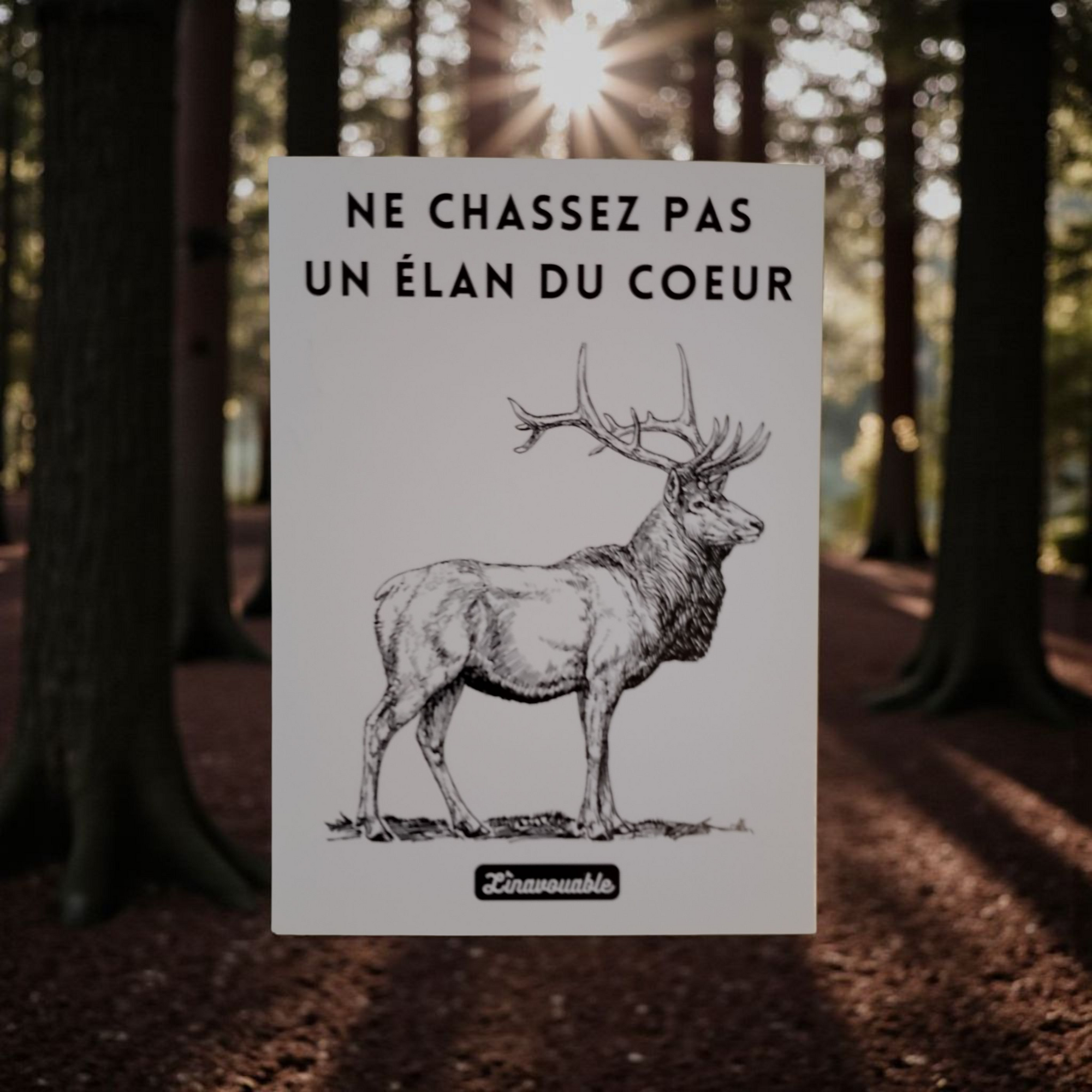 CARTE POSTALE "UN ELAN DU COEUR"