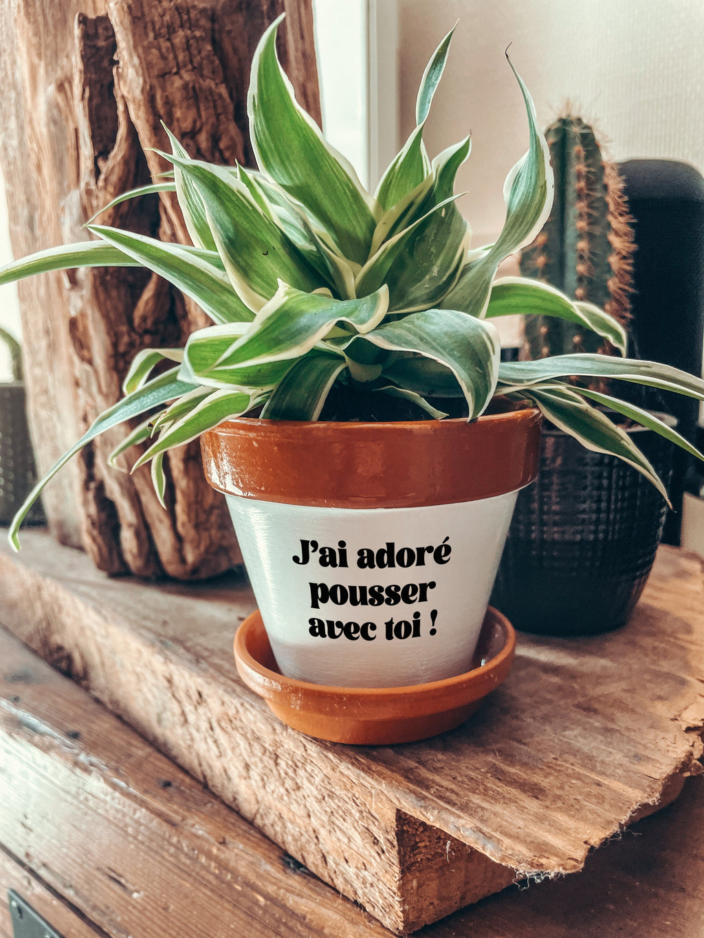 Pot de fleurs à message - J'ai adoré pousser avec toi !