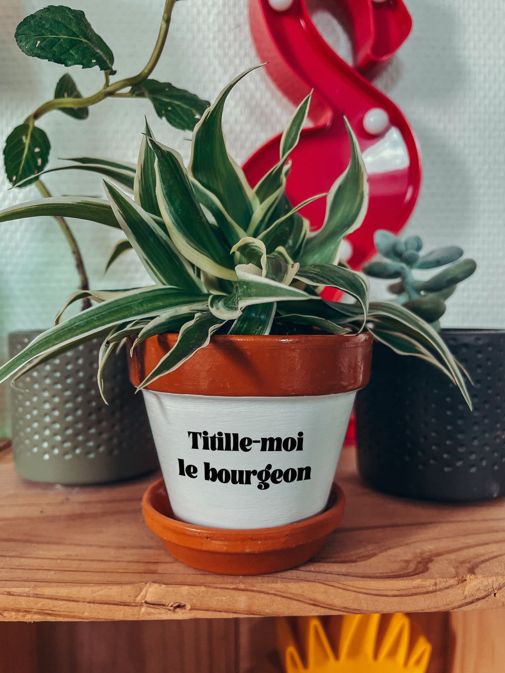 Pot de fleurs à message - Titille-moi le bourgeon