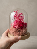cloche
