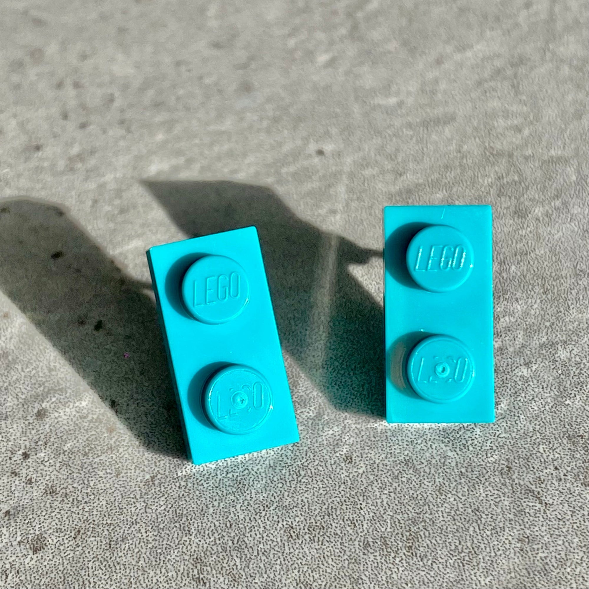 Puces rectangles