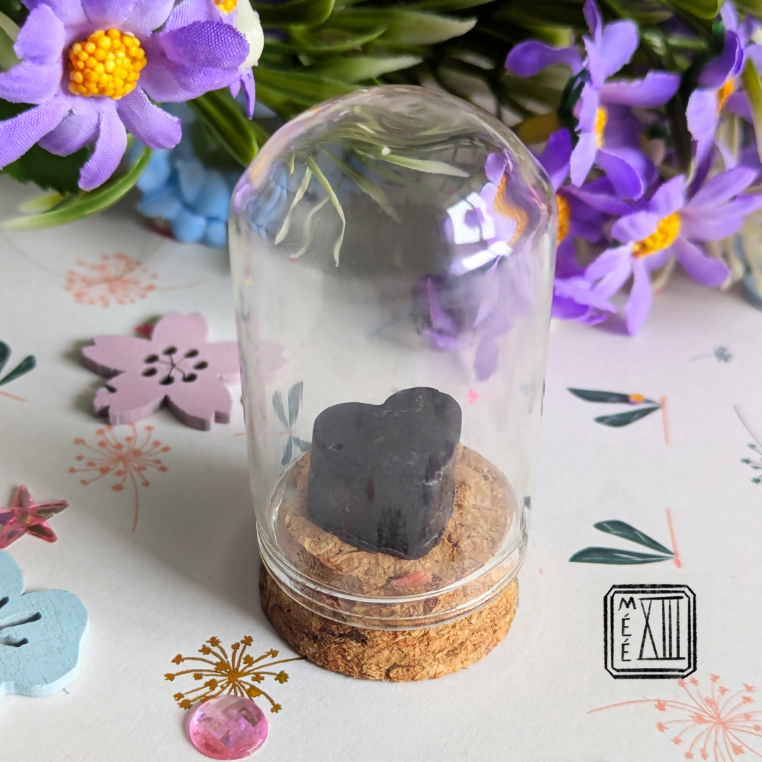 Potion magique Tarte tatin