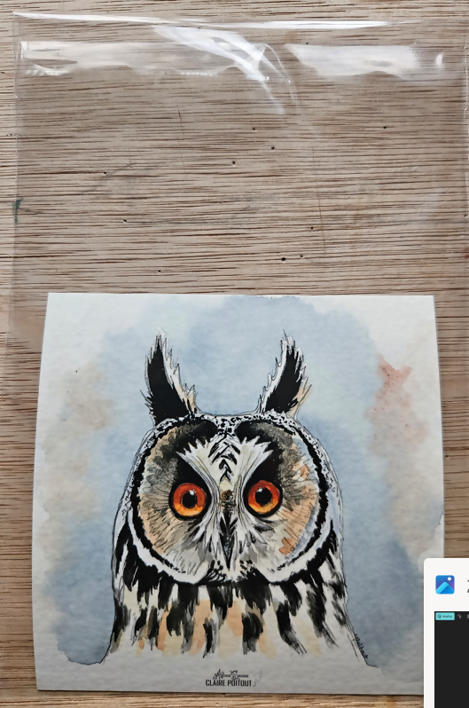 Reproduction format carré 10x10cm