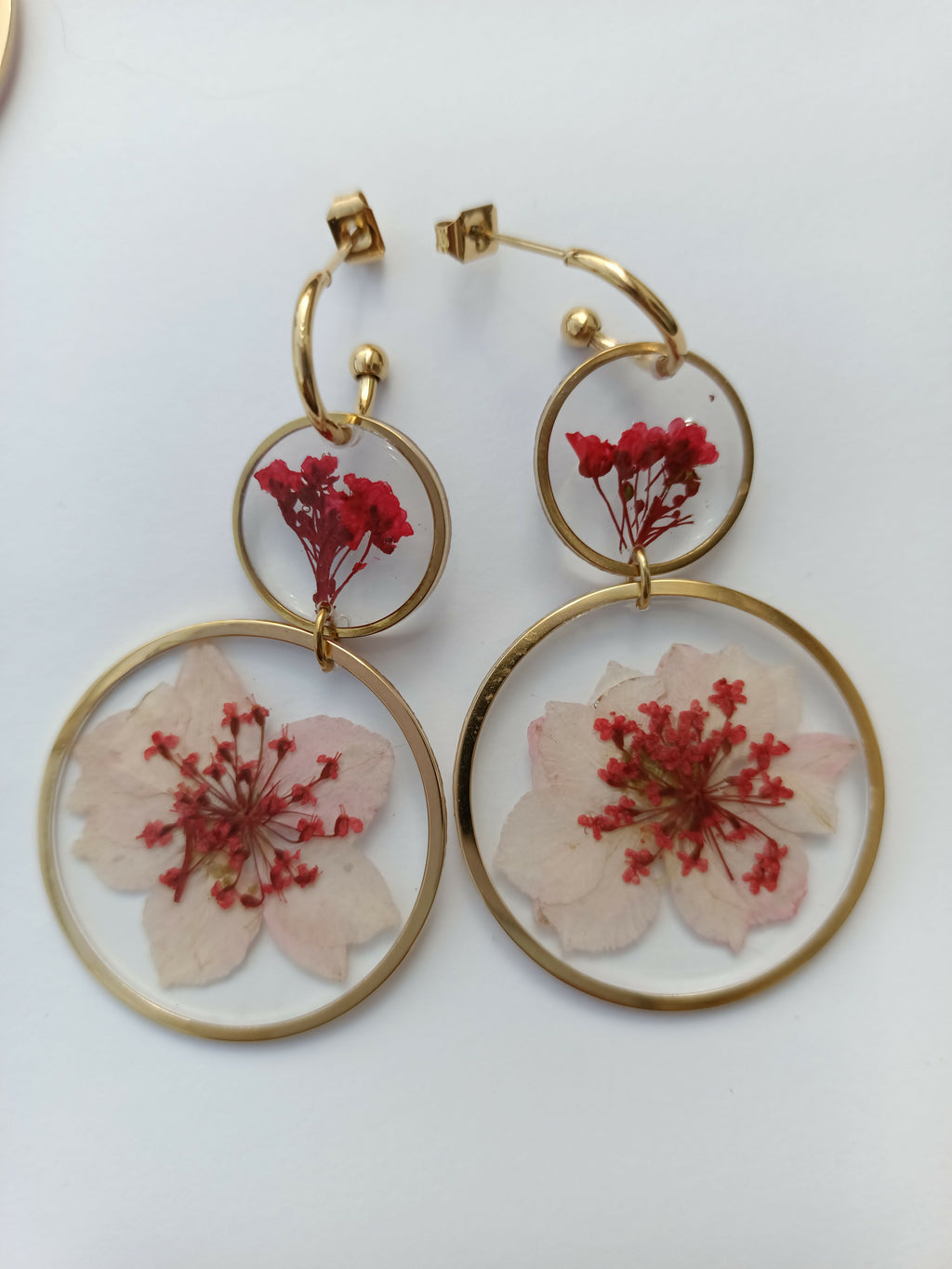 Dried Flowers