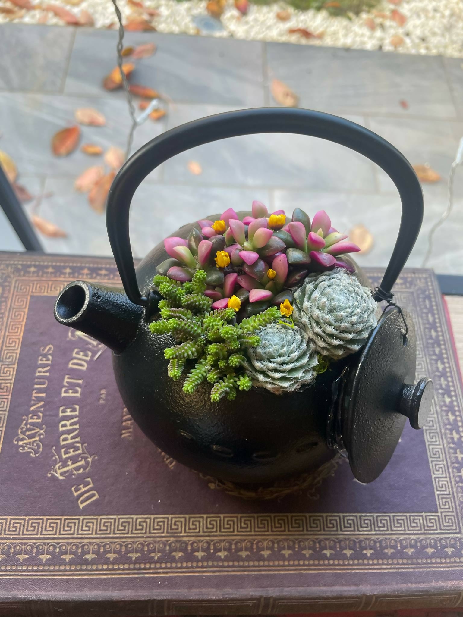 Théière en fonte japonaise