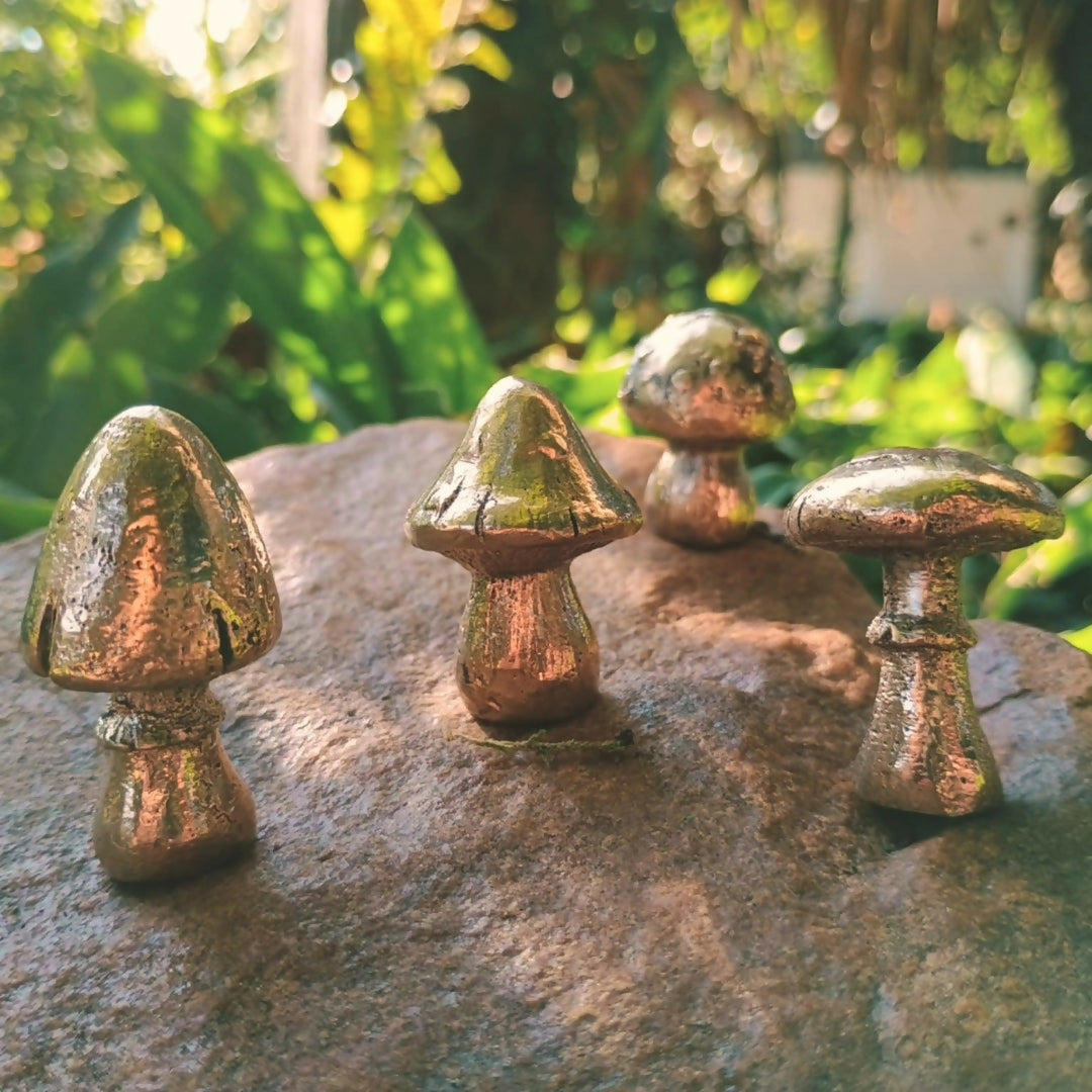 champignon bronze
