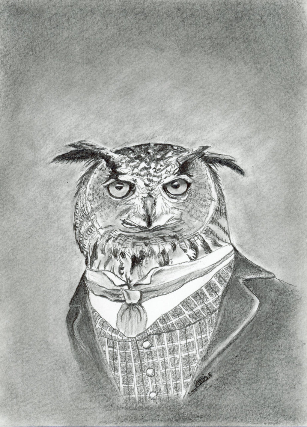 SÉRIE_Animaux costumés