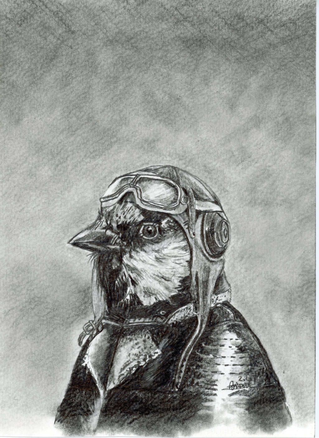 SÉRIE_Animaux costumés