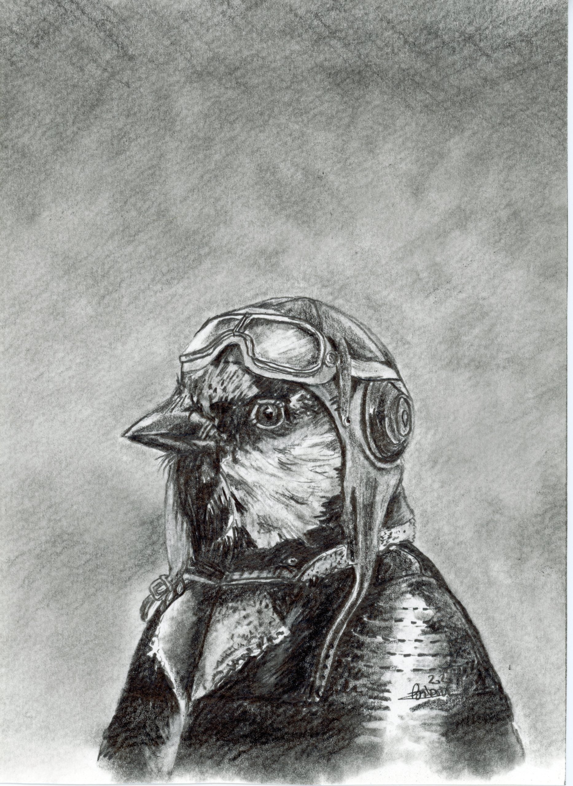 Costumed Sparrow