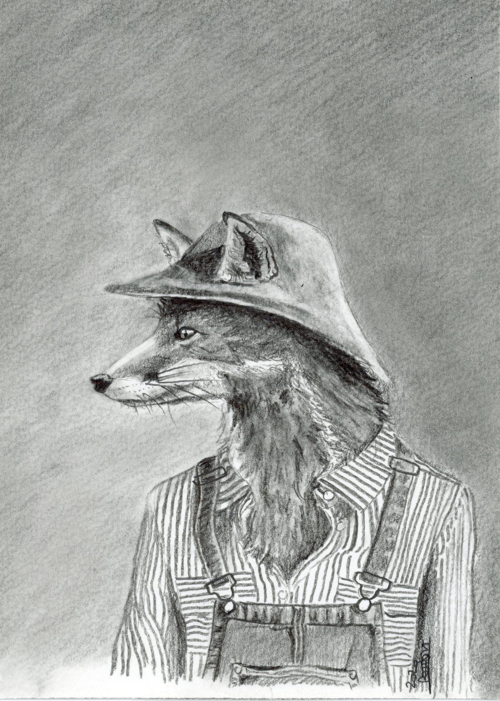 SÉRIE_Animaux costumés