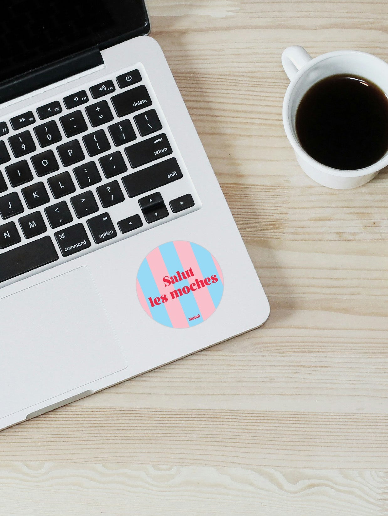 Sticker - Salut les moches