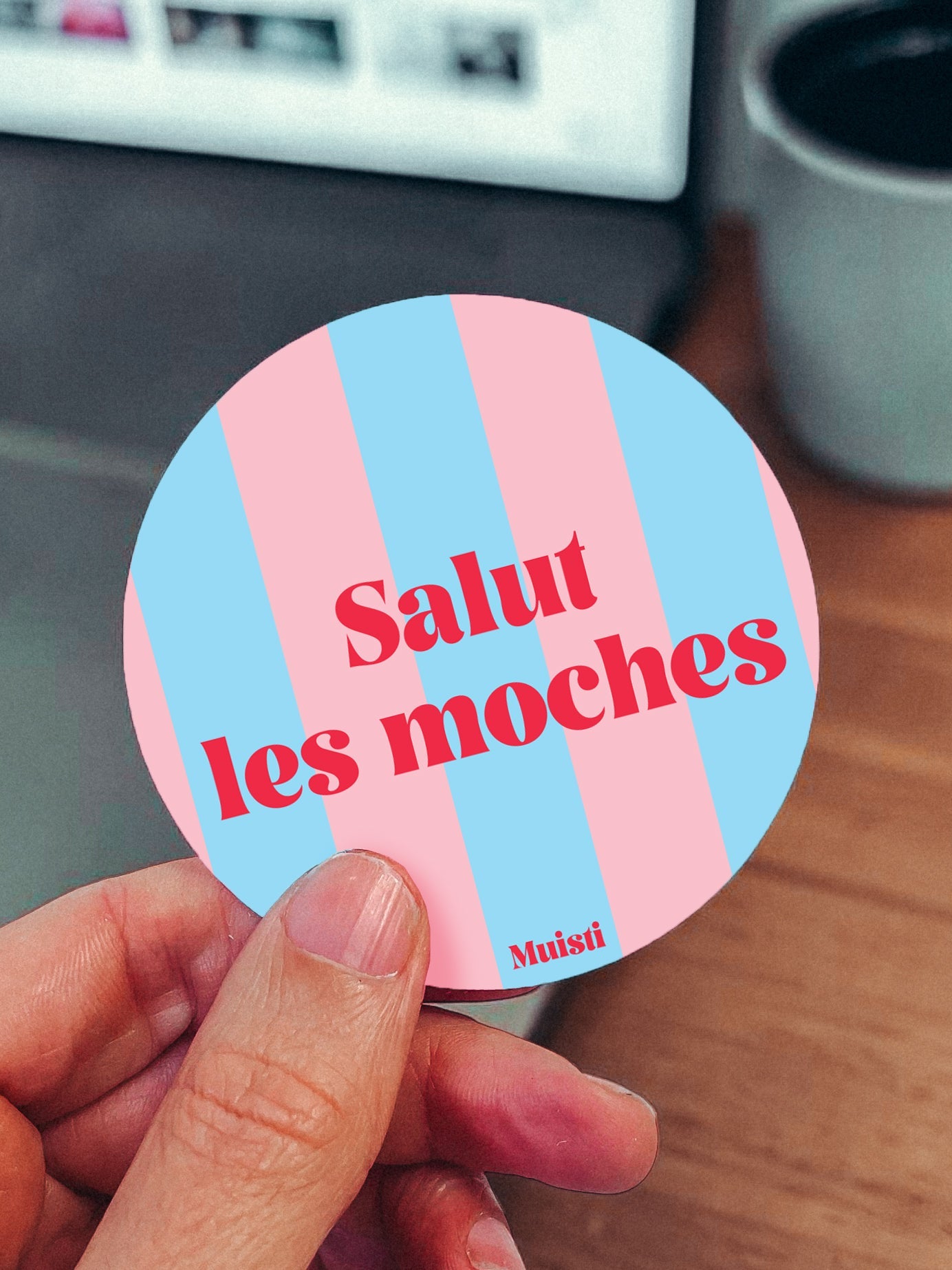 Sticker - Salut les moches