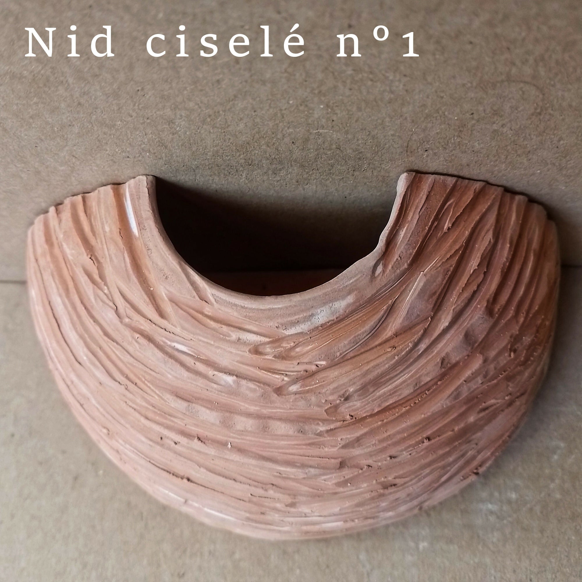 Nid ciselé n°1 ph