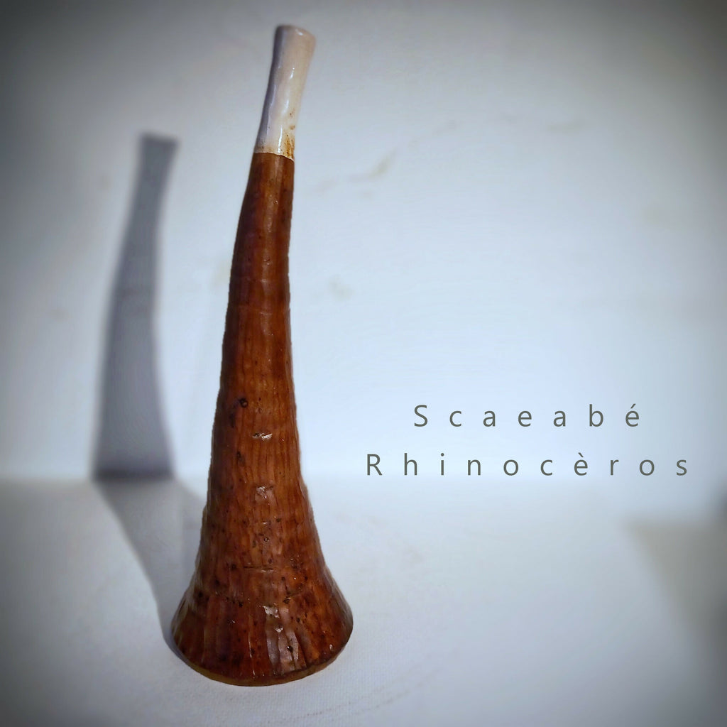 Vase Scarabée Rhinocéros