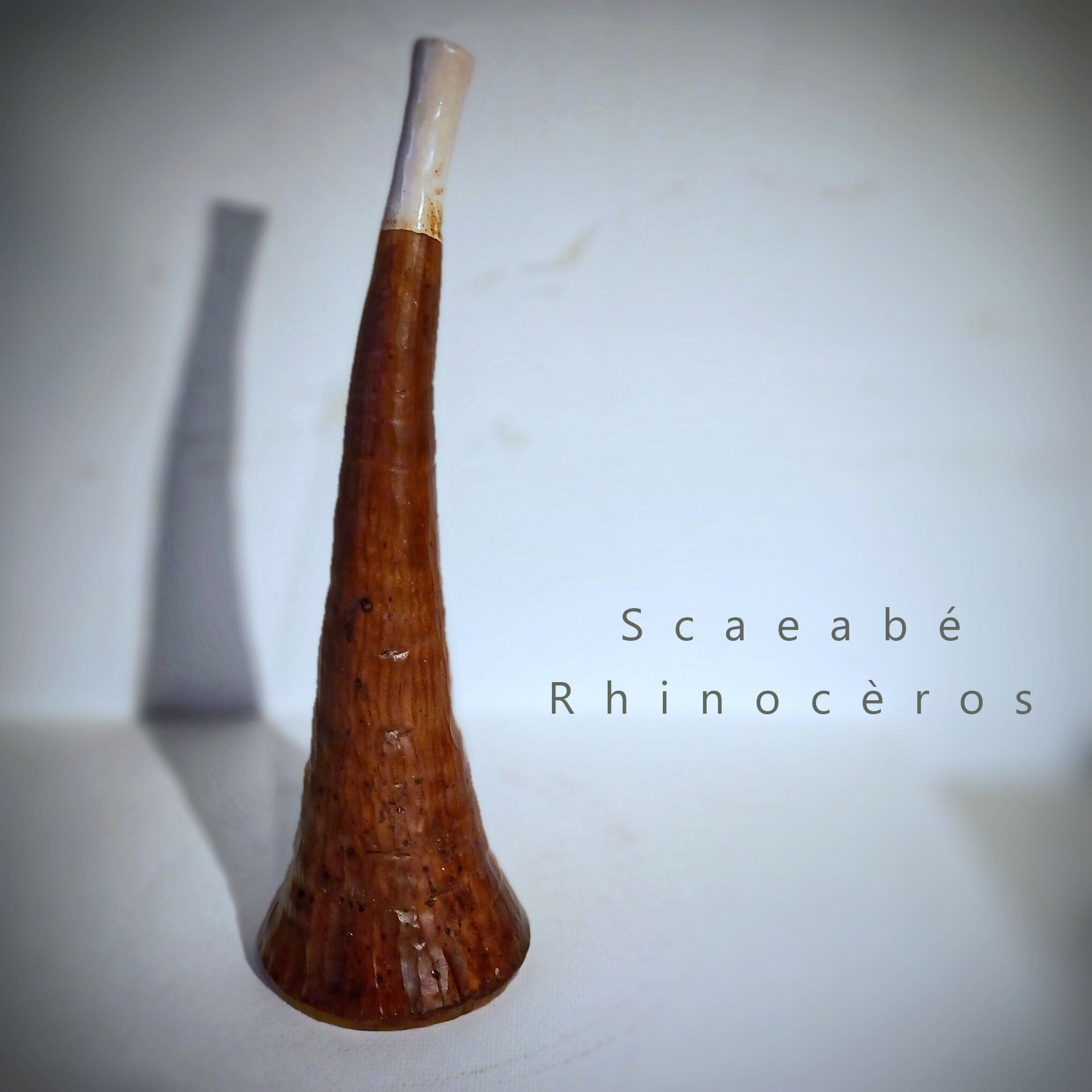 Vase Scarabée Rhinocéros