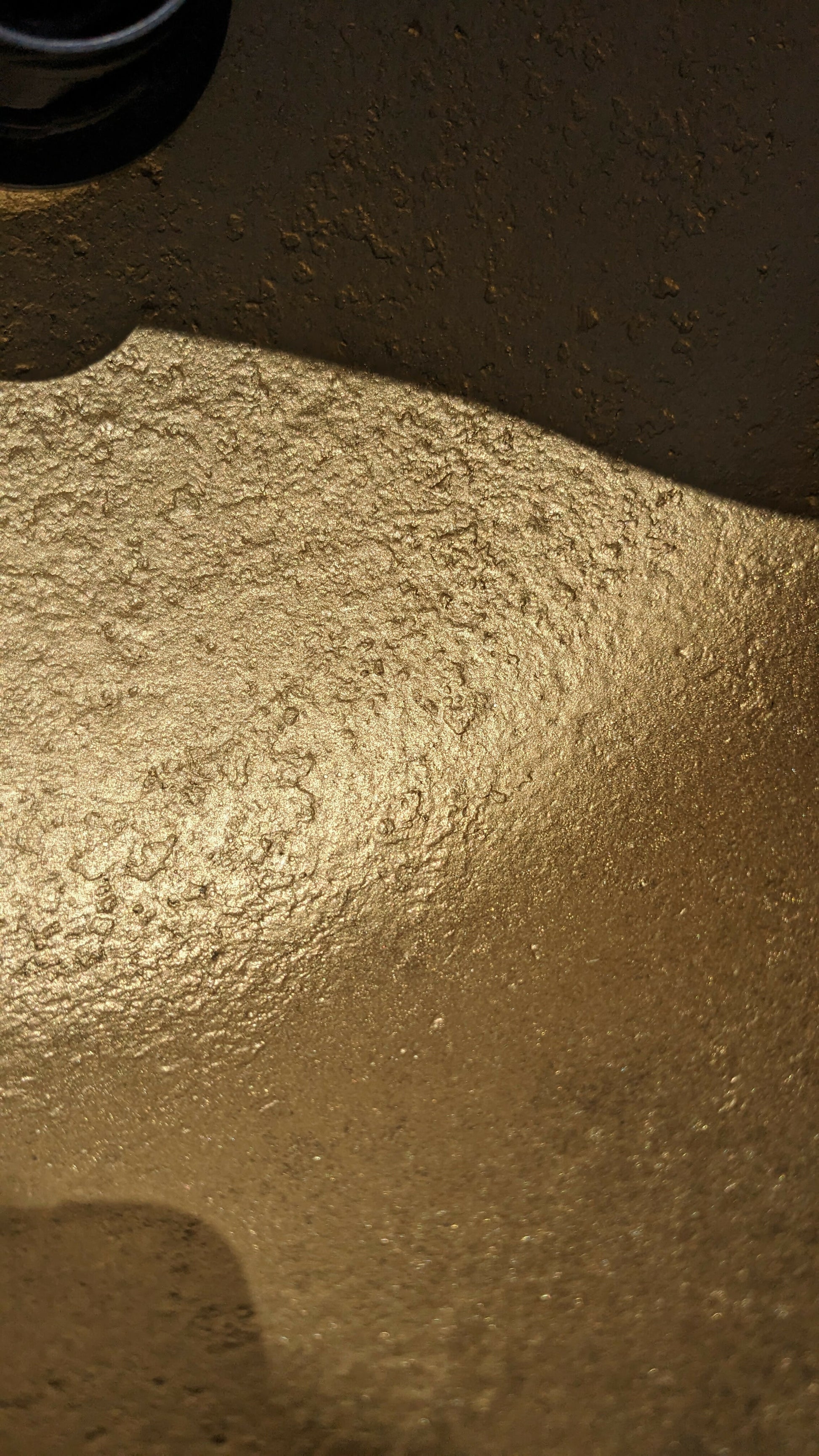 PXL_20240531_100714709
