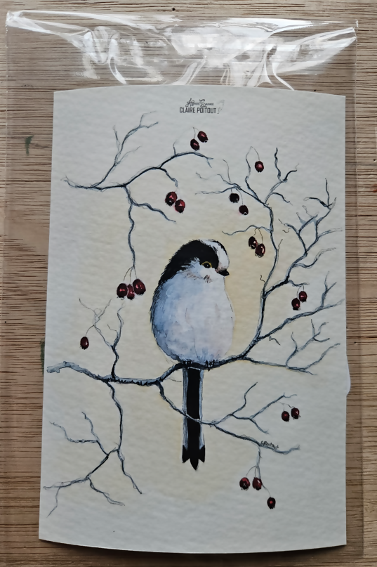 Reproduction format 10x15cm