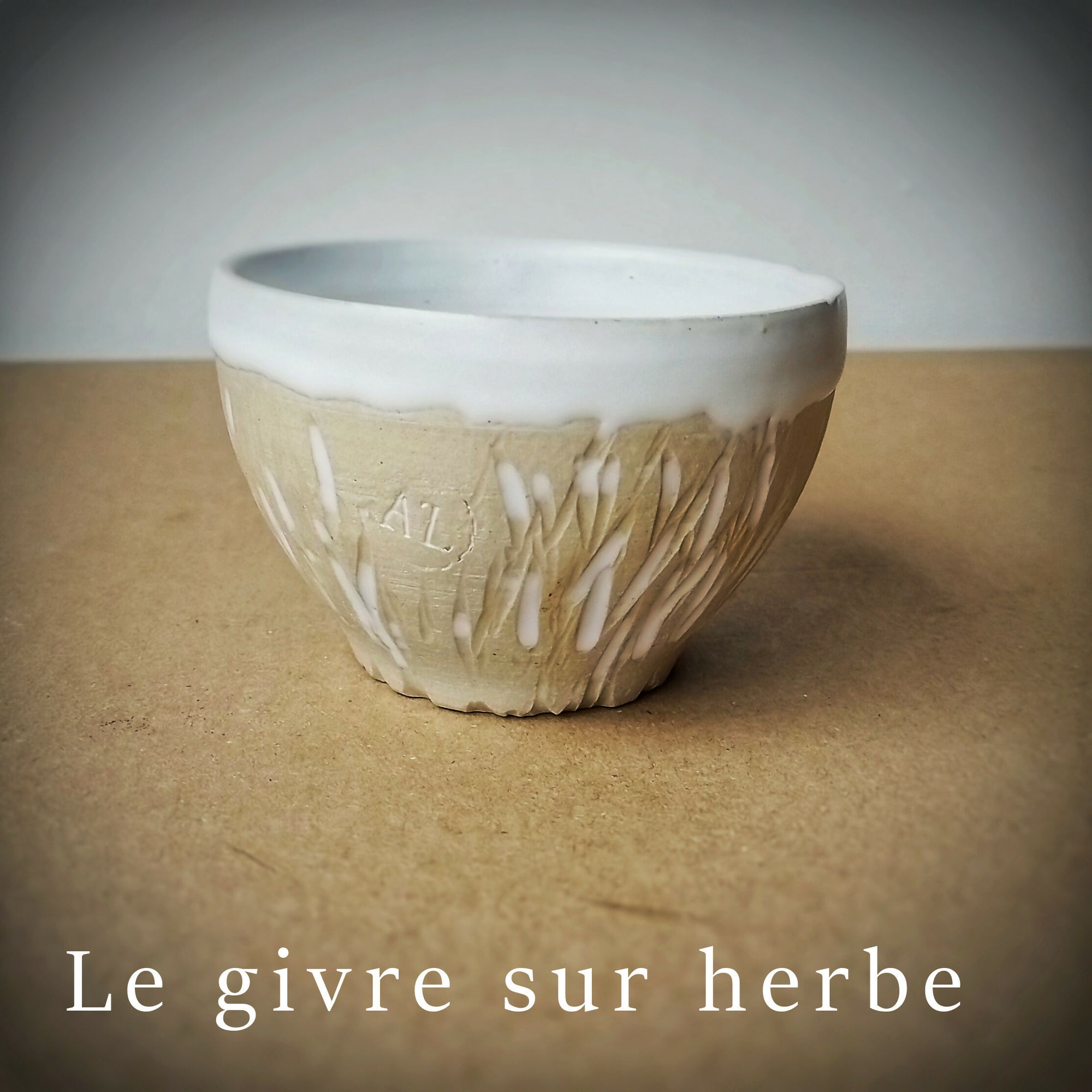 Le givre sur l'herbe