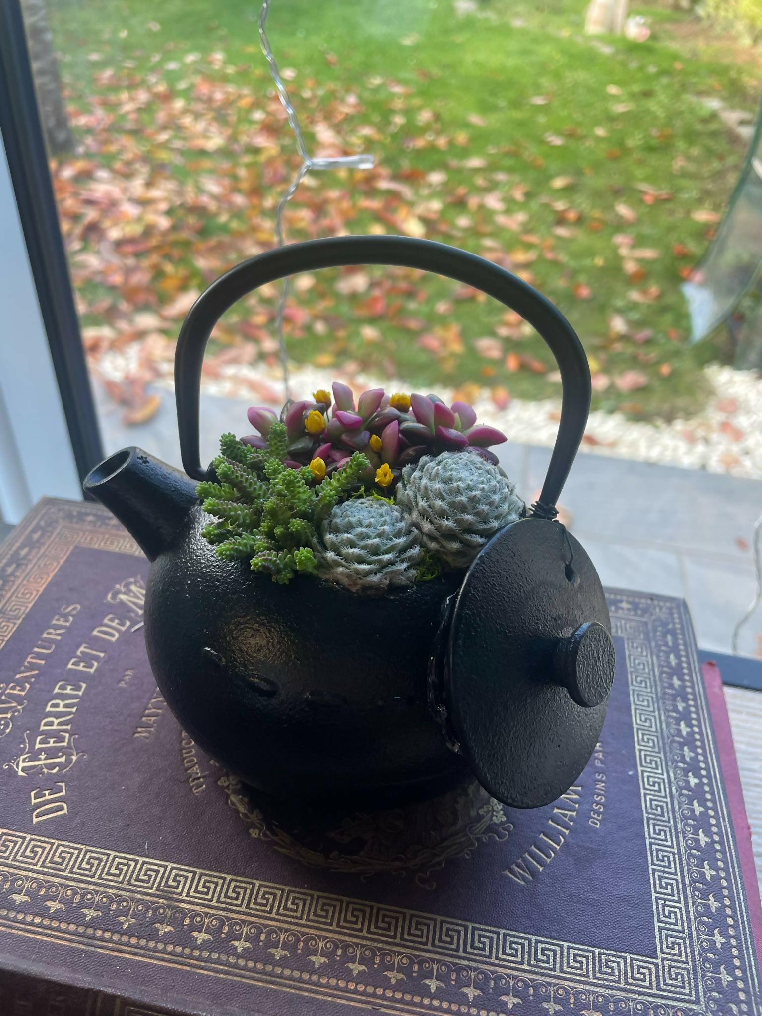 Théière en fonte japonaise