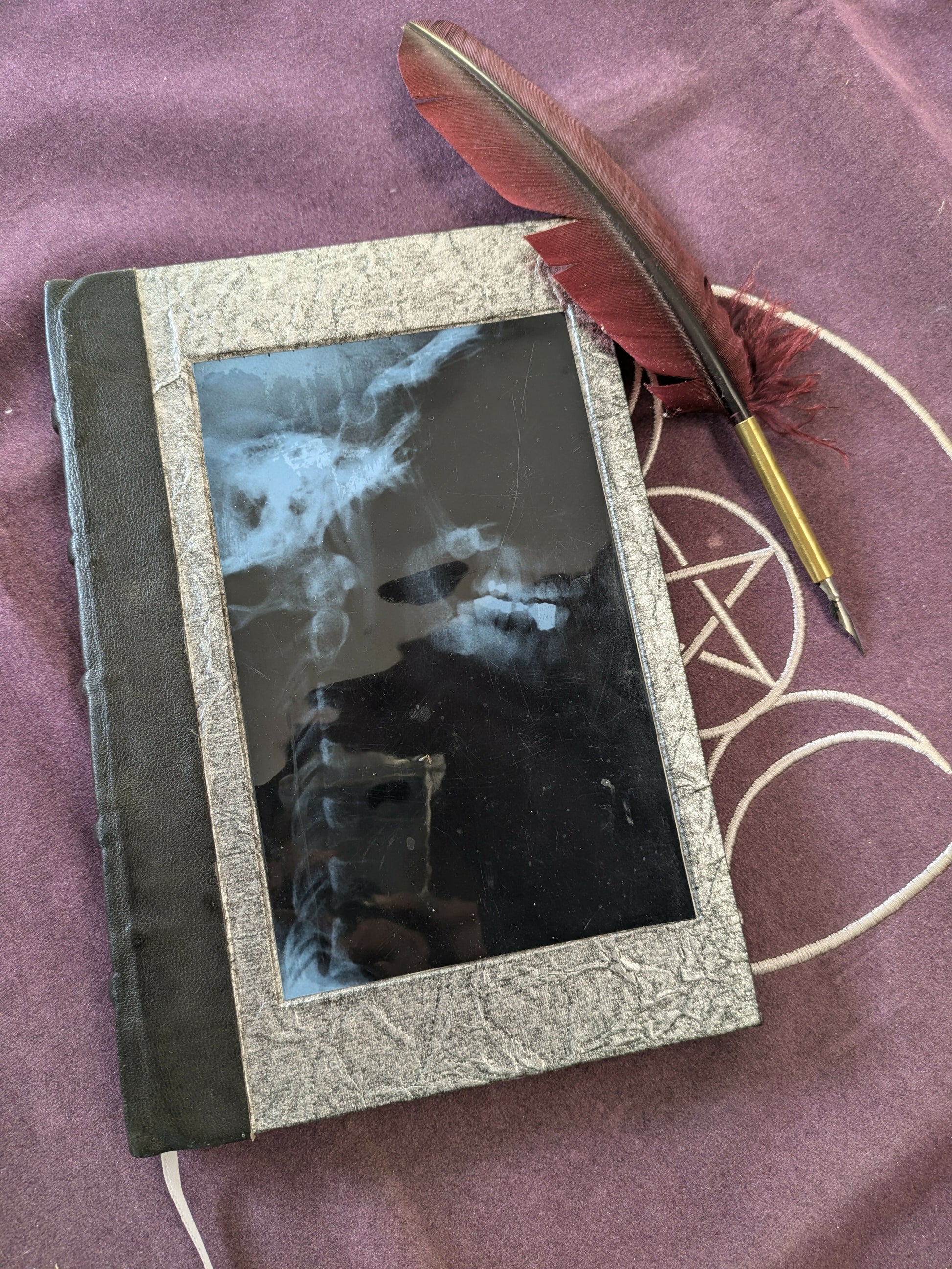 PXL_20240904_145429429