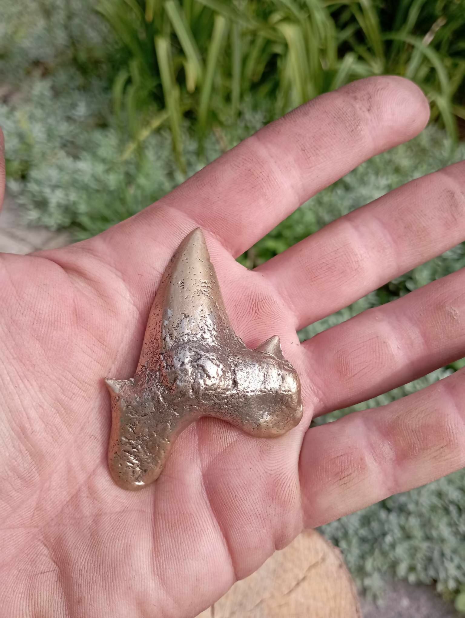 dent de requin bronze
