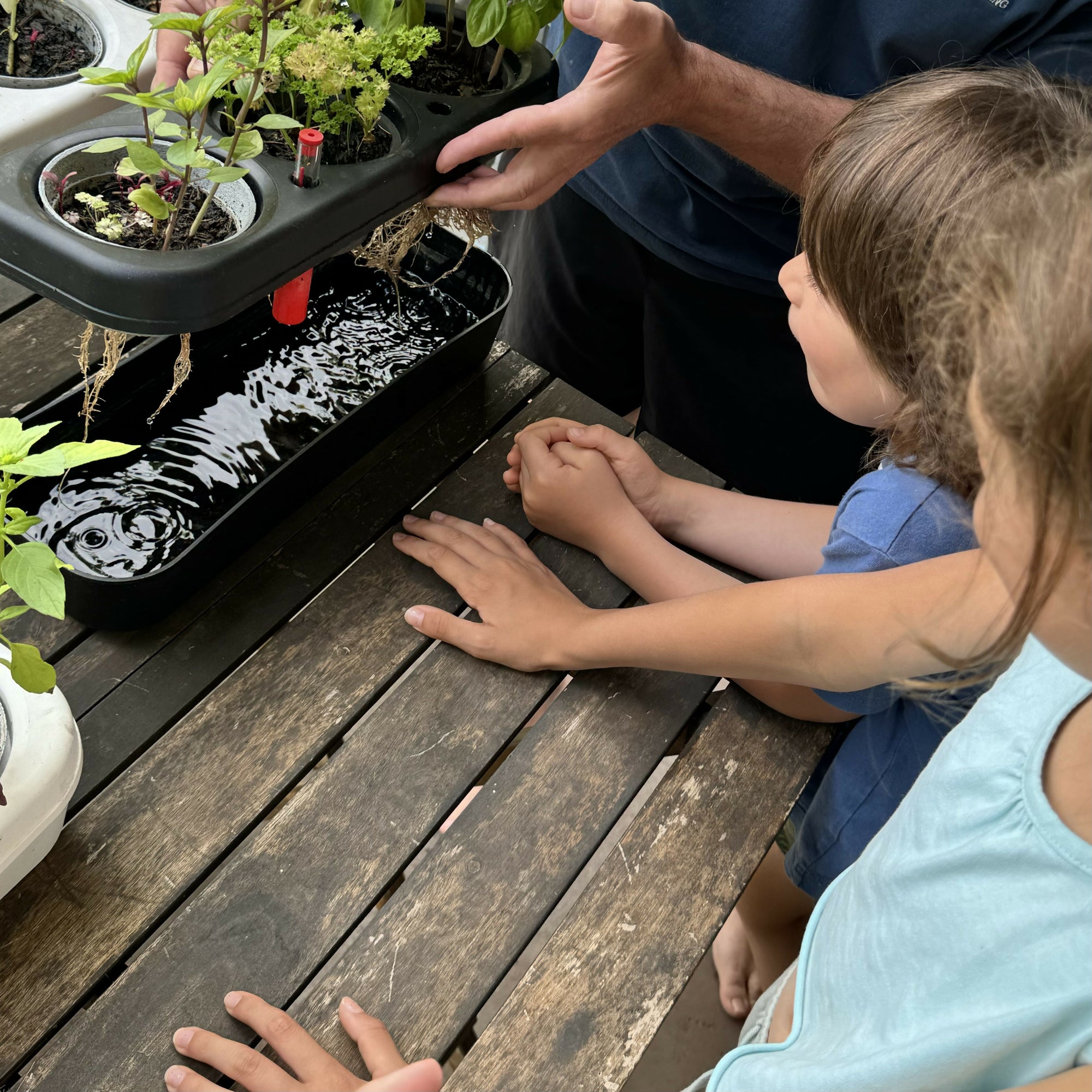 Le Kit Potager Urbain pour Enfants - Pbox Jaune