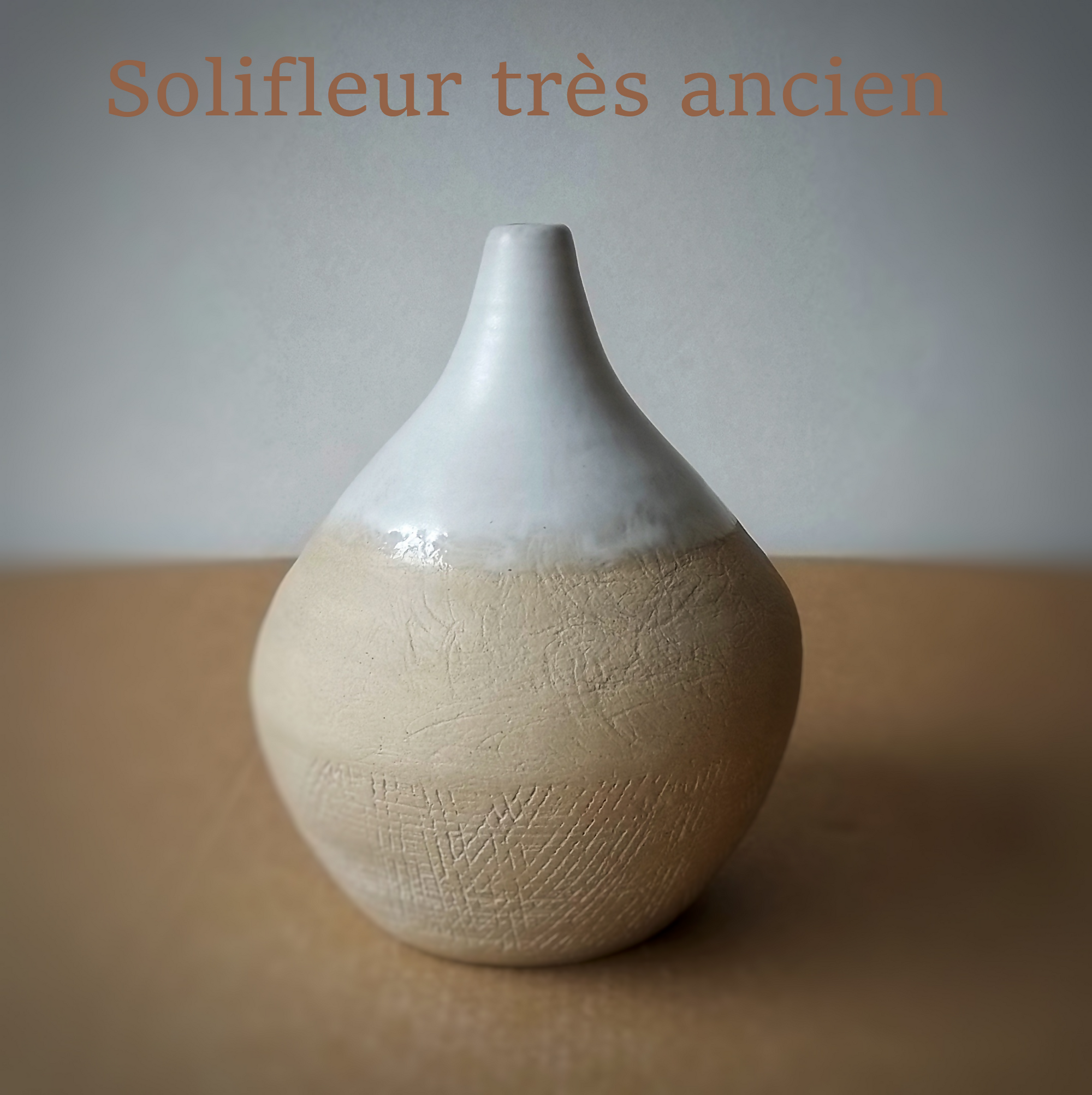 solifleur très ancien phxcf