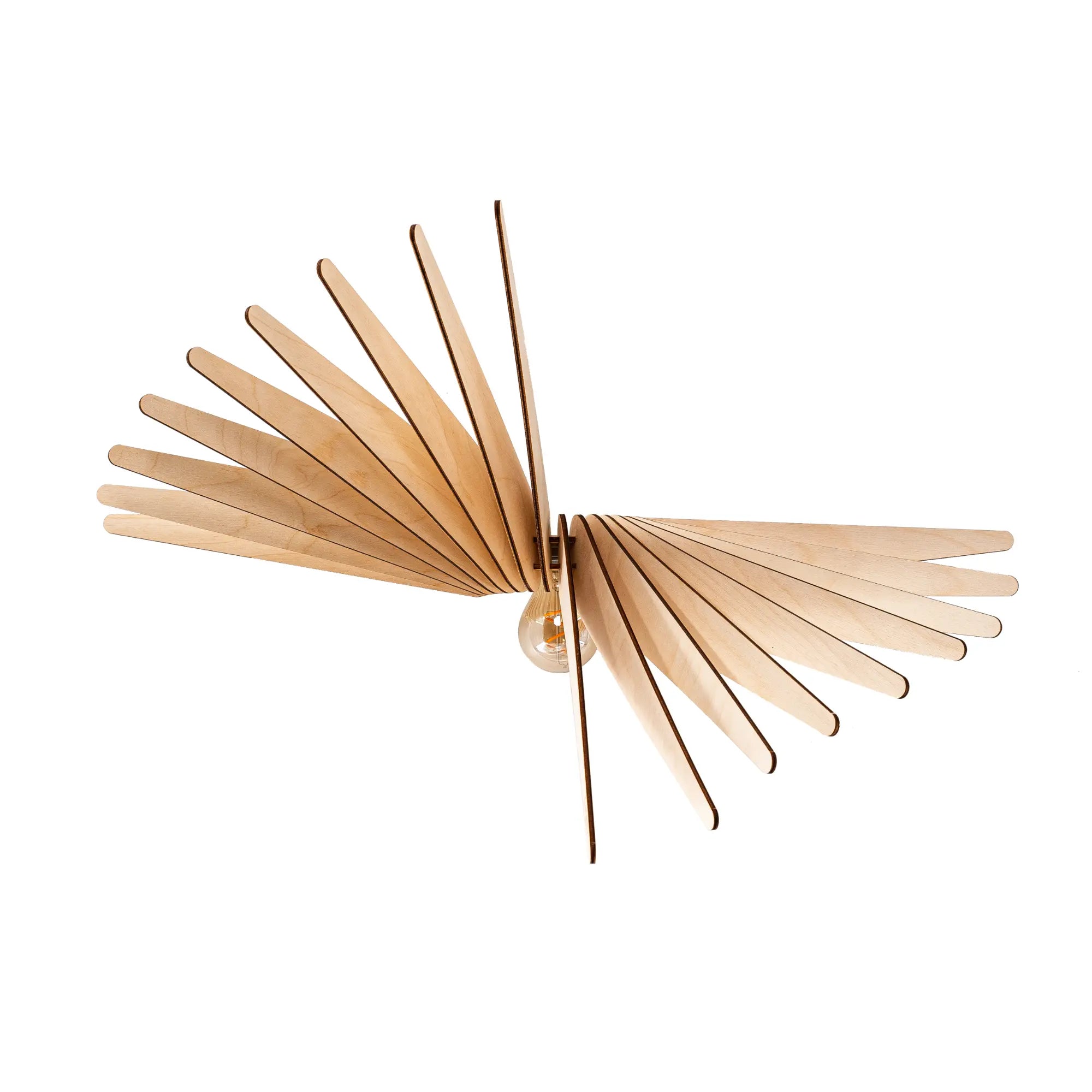 Albatross | Wall light