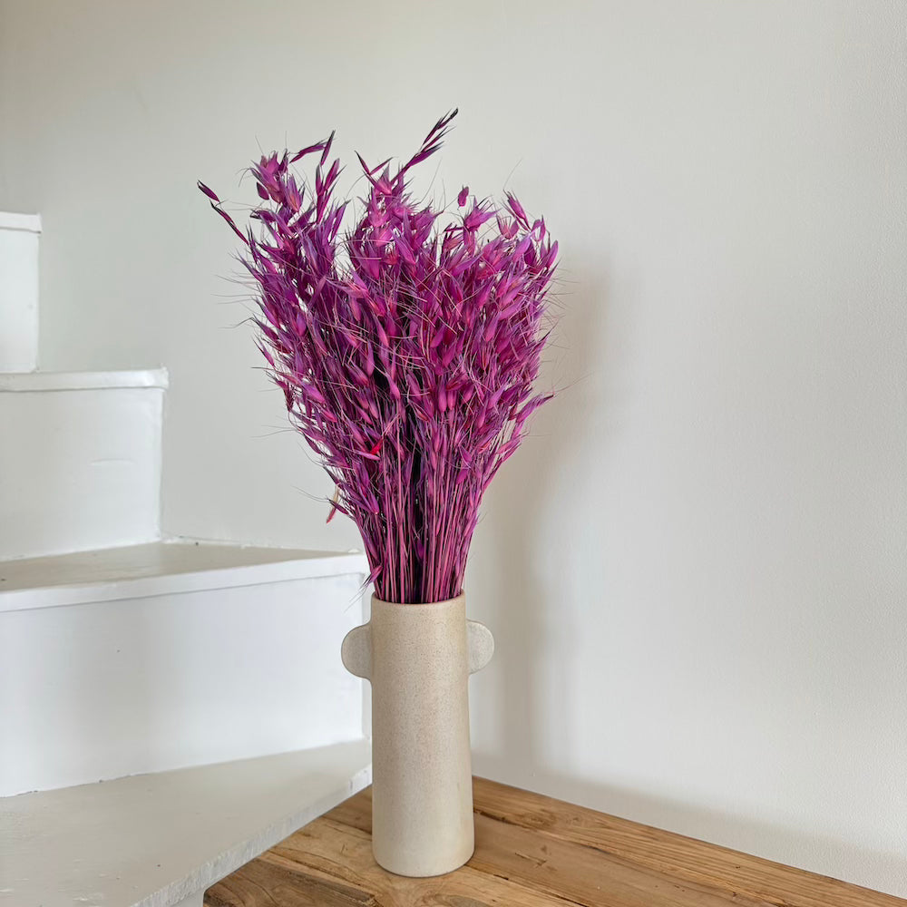 Botte Avoine Violet
