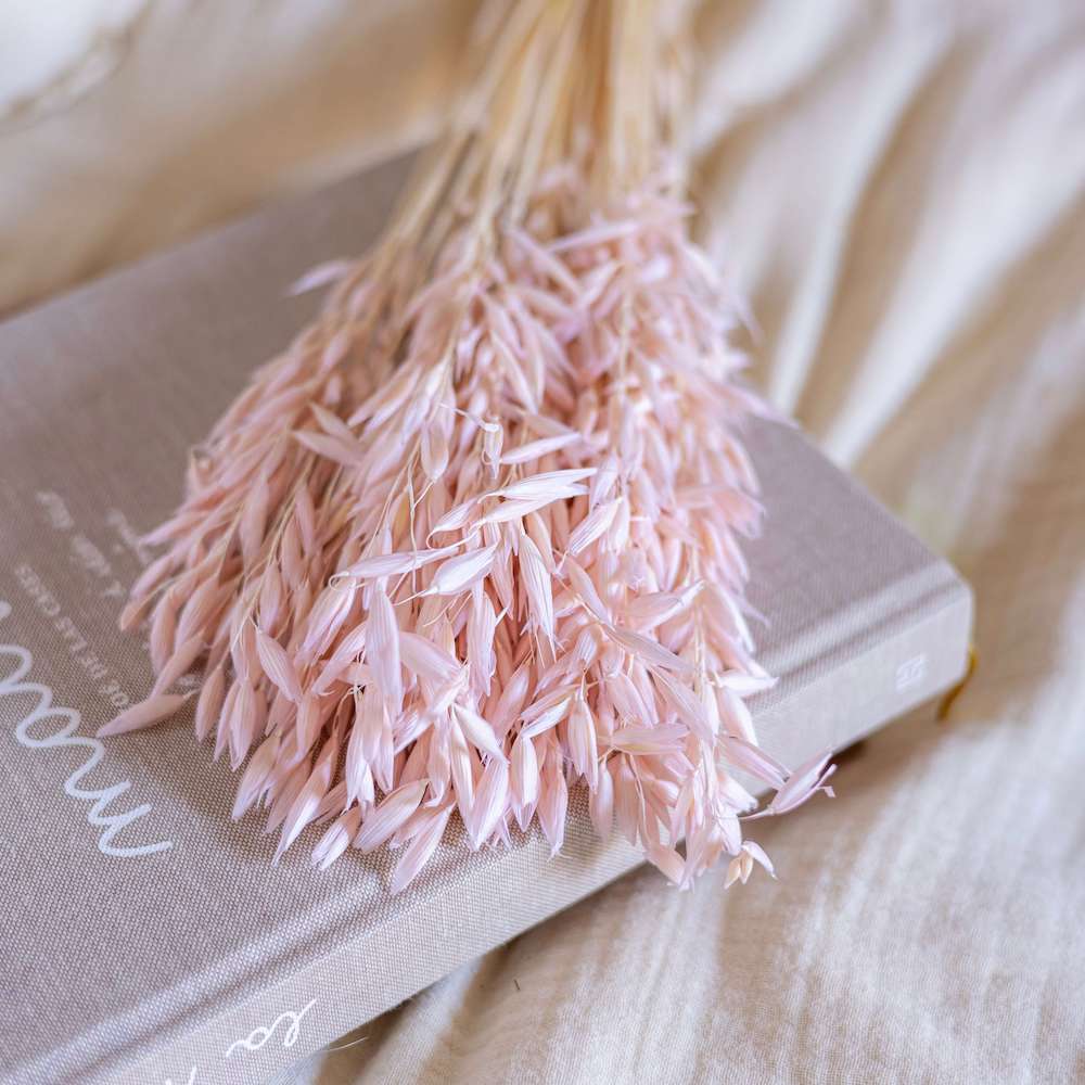 fleurs-sechees-a-la-botte-rose