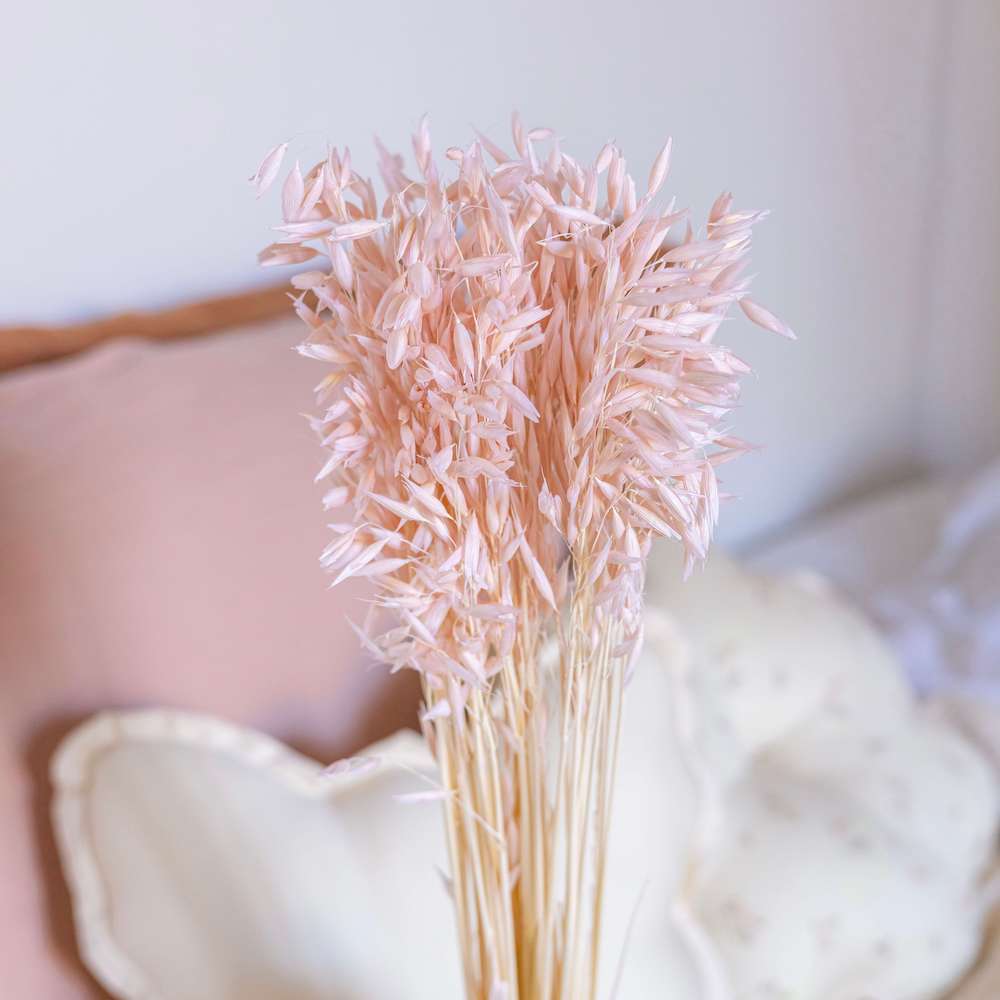 fleurs-sechees-a-la-botte-rose