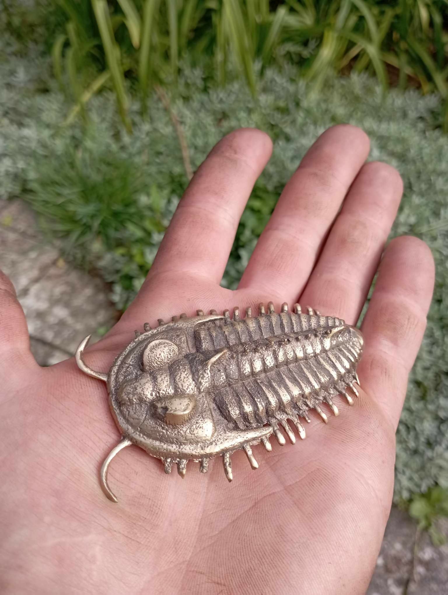 trilobite bronze