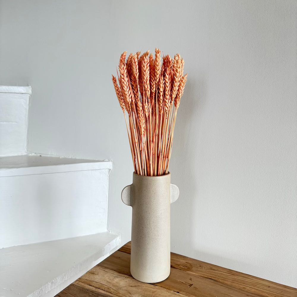 ble-seche-orange
