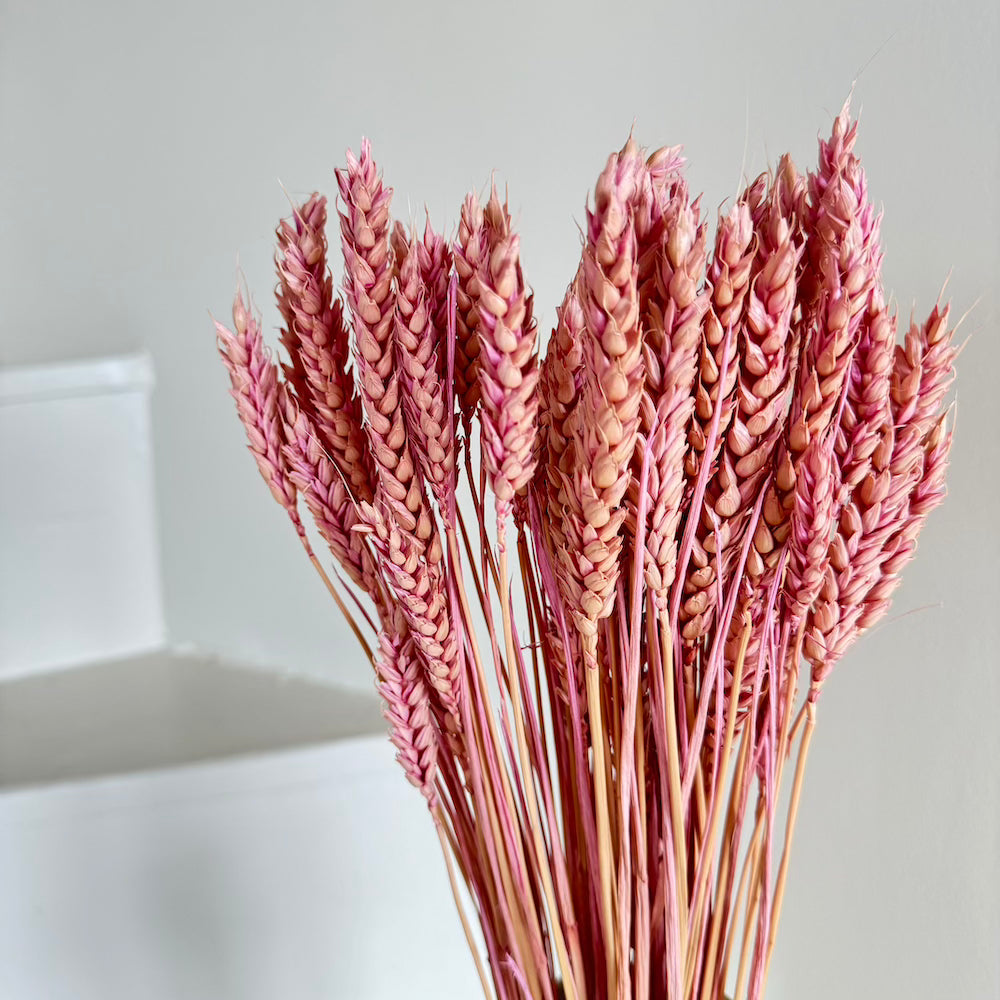 Botte Blé Lilas