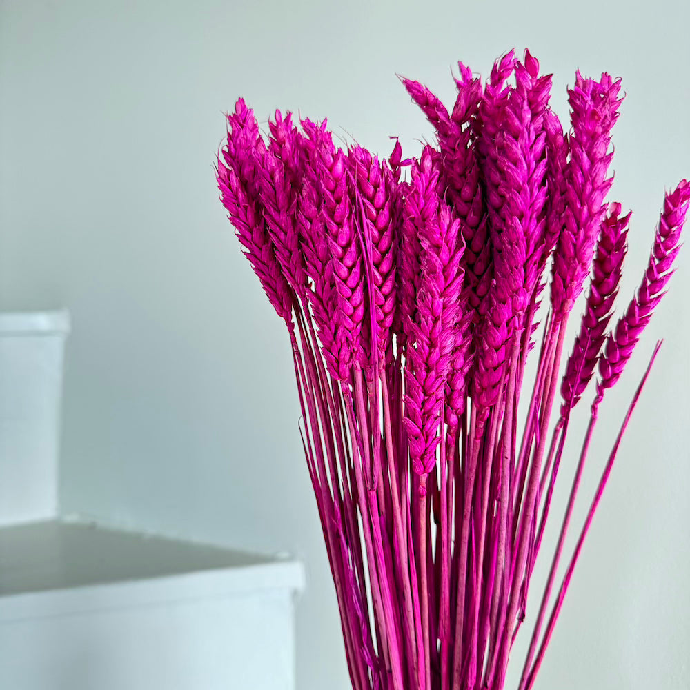 Botte Blé Magenta