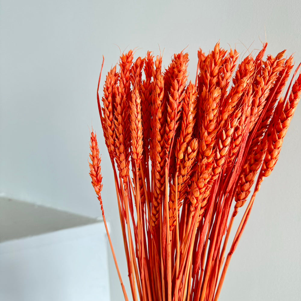 Botte Blé Orange foncé