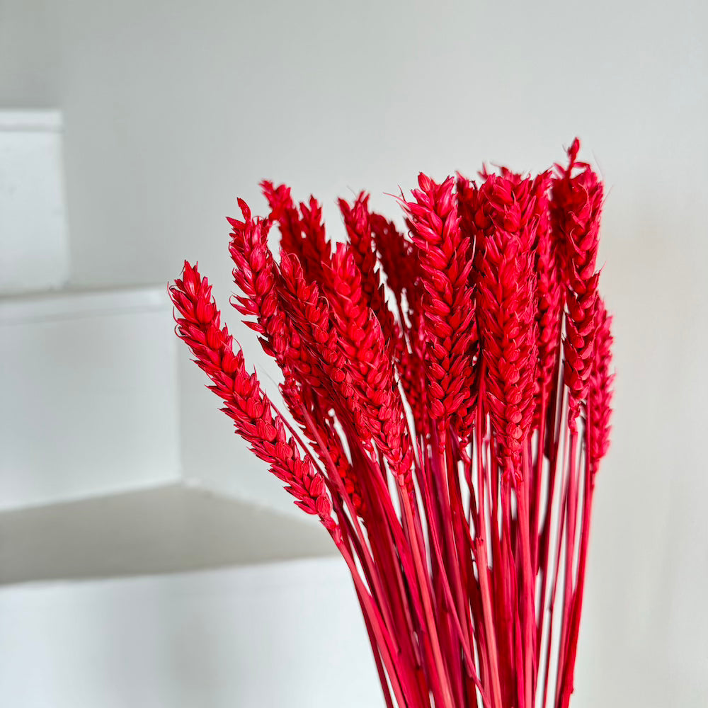 Botte Blé Rouge