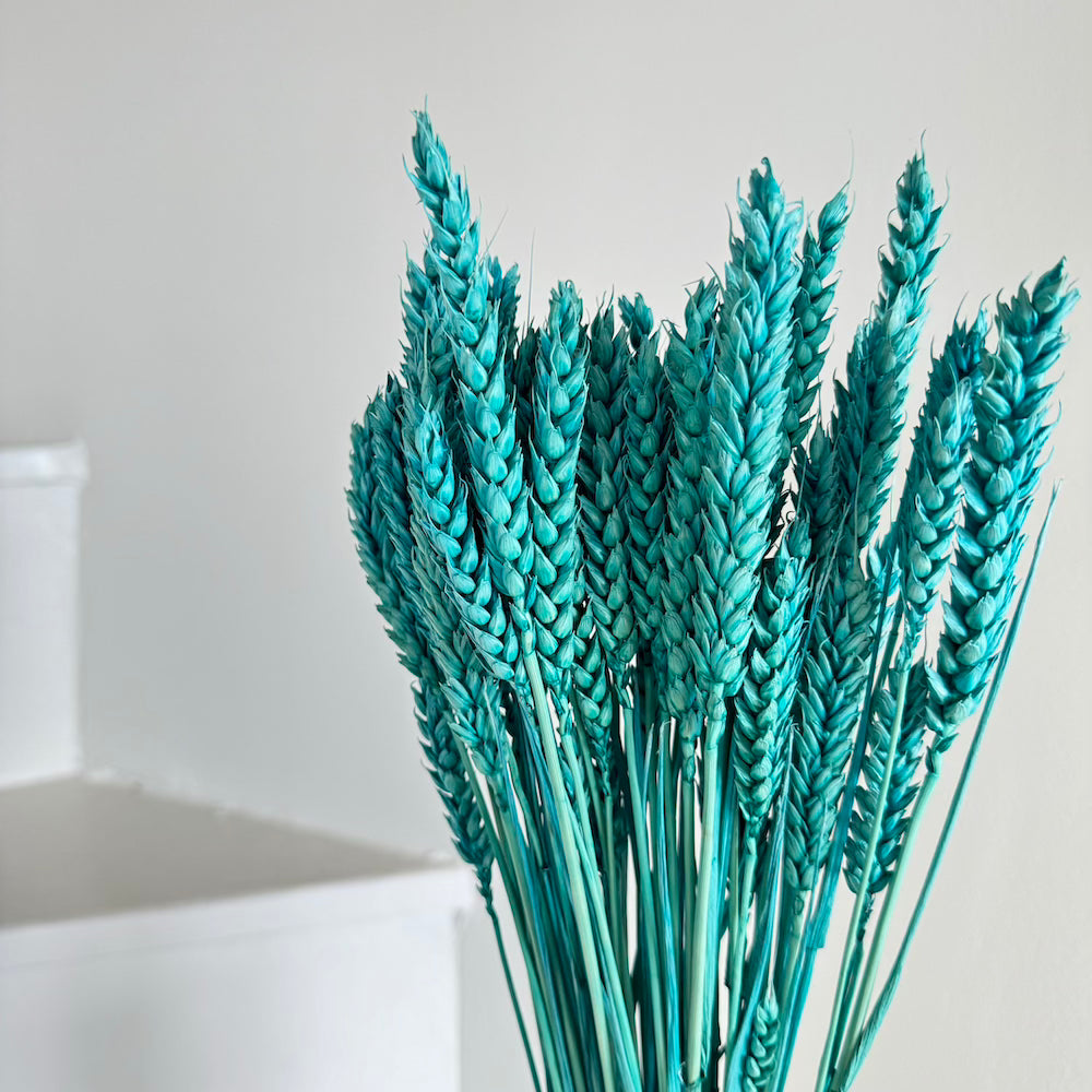 Botte Blé Turquoise