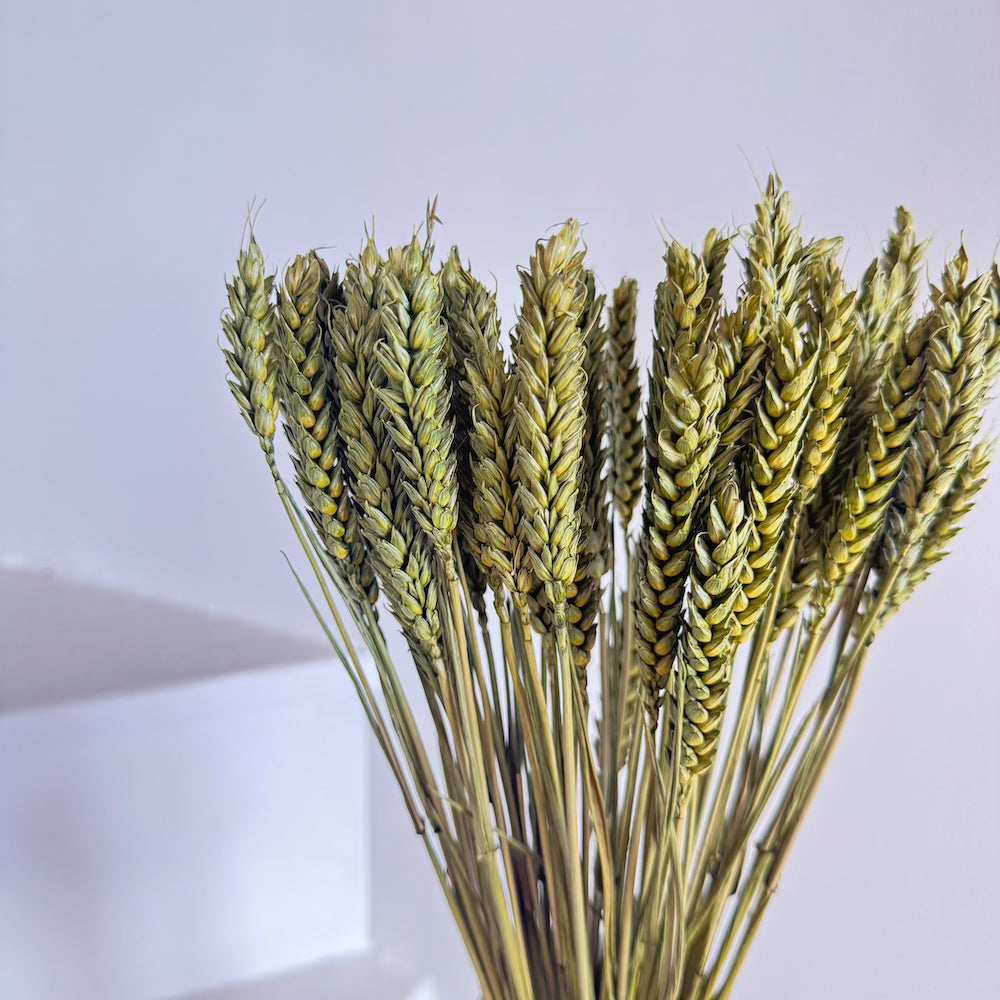 Botte Blé Vert olive