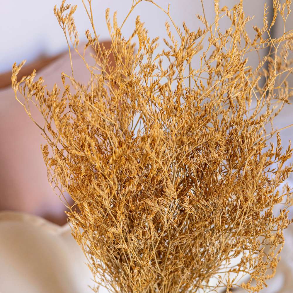 botte-limonium-jaune